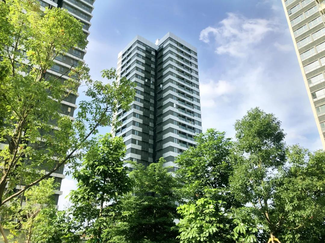 云顶集团·(中国)手机版app下载